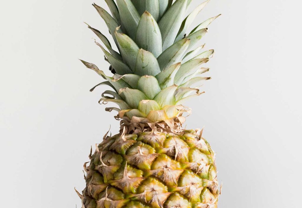 Vegan food for improving your immune system